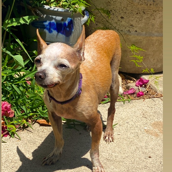 Meet your Posher, Elena - Picture 1 of 1